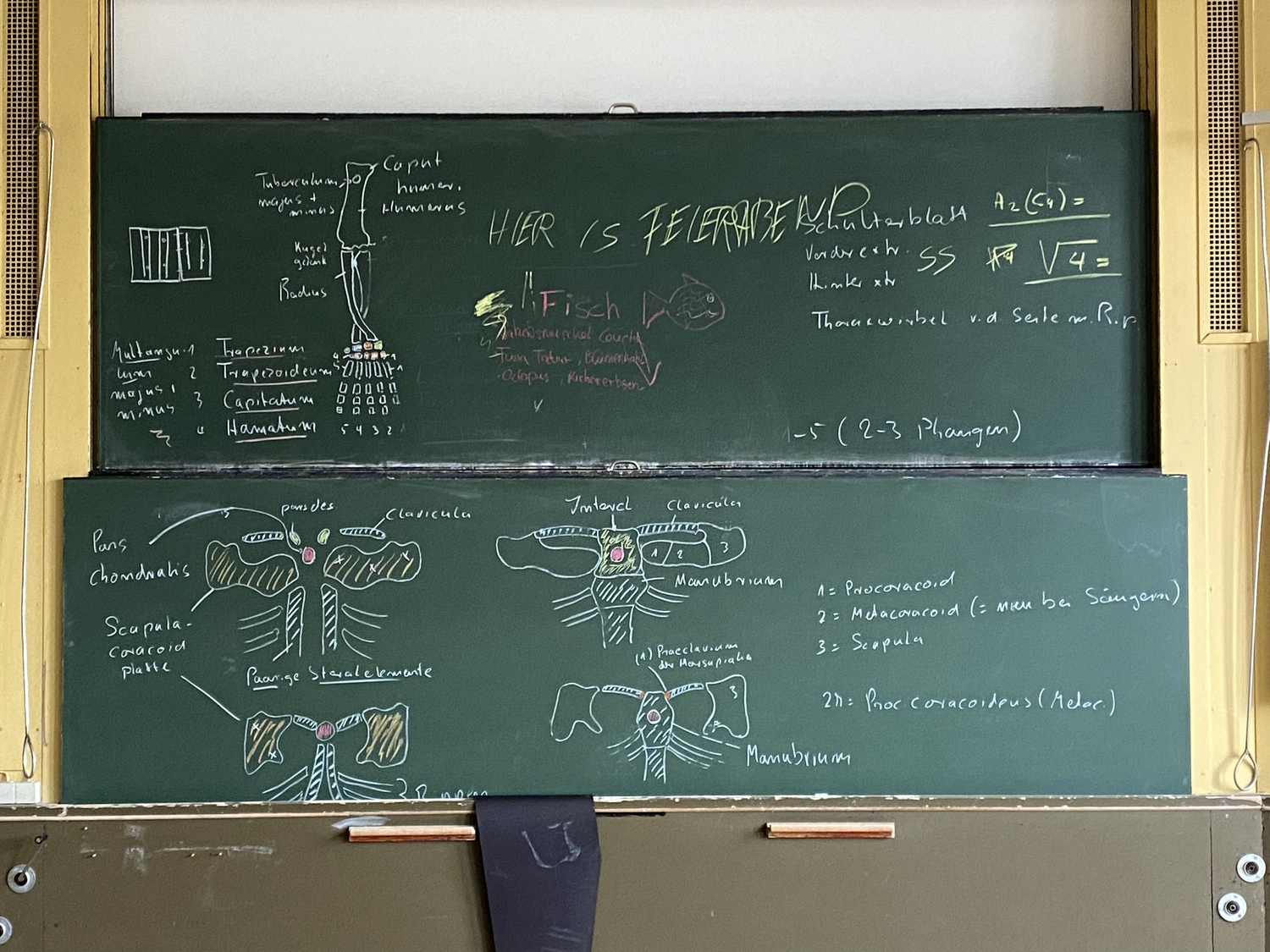 Keine Hilfsmittel außer Kreide und Tafel: Unter dem Titel „Chalk Talks“ präsentieren Wissenschaftlerinnen und Wissenschaftler des Göttingen Campus ihre Forschung öffentlich im Forum Wissen.