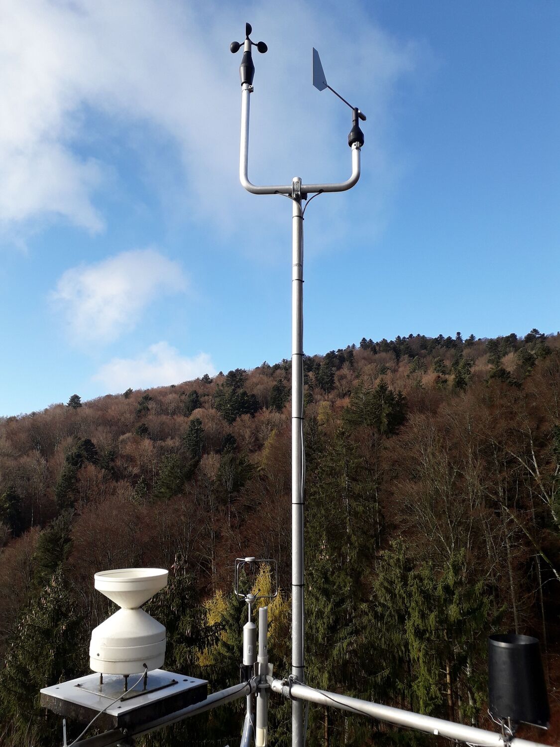 Wetterstationen lieferten die Klimadaten: An den Waldstandorten stiegen im Untersuchungszeitraum die durchschnittlichen Temperaturen, während die jährlichen Niederschläge überwiegend zurückgingen. Beides ist für den Klimawandel typisch.