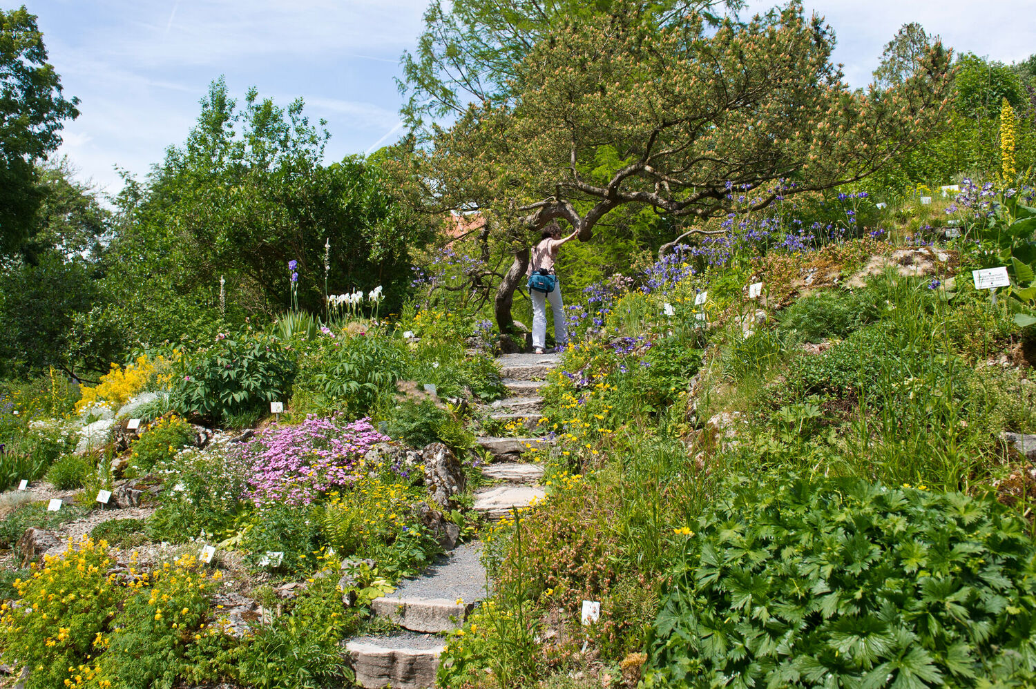 Lernort Alter Botanischer Garten