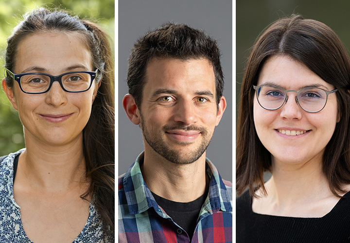 Drei Forschende am Göttingen Campus haben einen ERC Starting Grant des Europäischen Forschungsrats (ERC) erhalten.