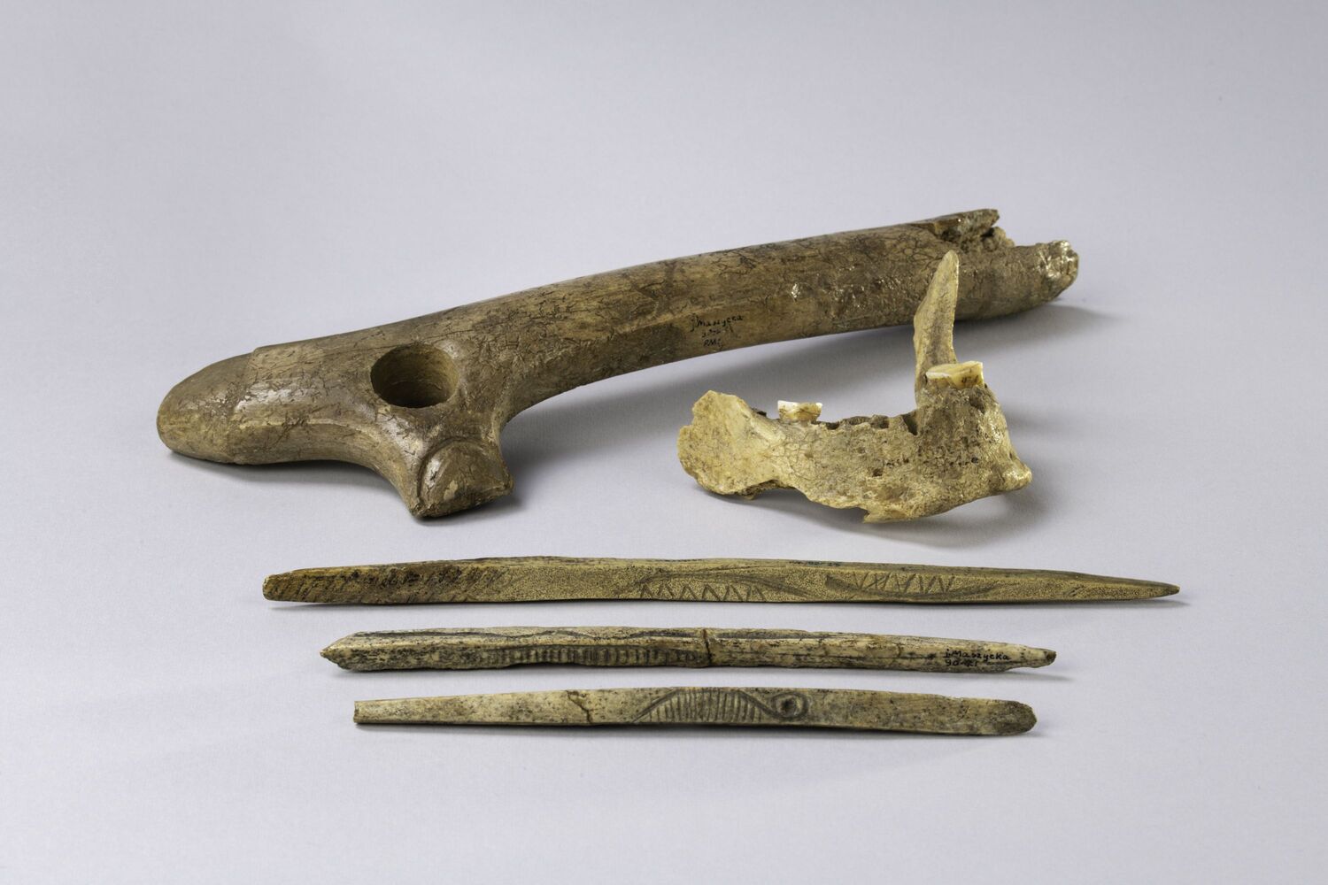 From the Maszycka Cave in southern Poland: piece of a human jaw and bone and antler artefacts from the Magdalenian culture, which was widespread in large parts of Europe between 19,000 and 14,000 years ago.