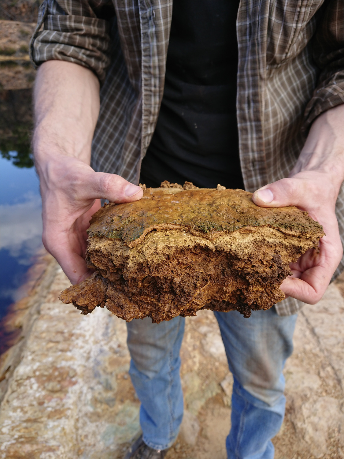 Mikrobialith aus dem Río Tinto. Sollten vergleichbare Sedimentstrukturen auf dem Mars entdeckt werden, könnten sie auf dortiges Leben hinweisen.