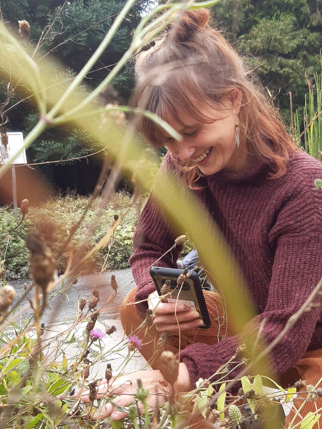 Wer Interesse an der Bestimmung von Blumen, Kräutern und Gräsern hat, findet die Touren kostenlos zum Download auf der Website des Alten Botanischen Gartens.