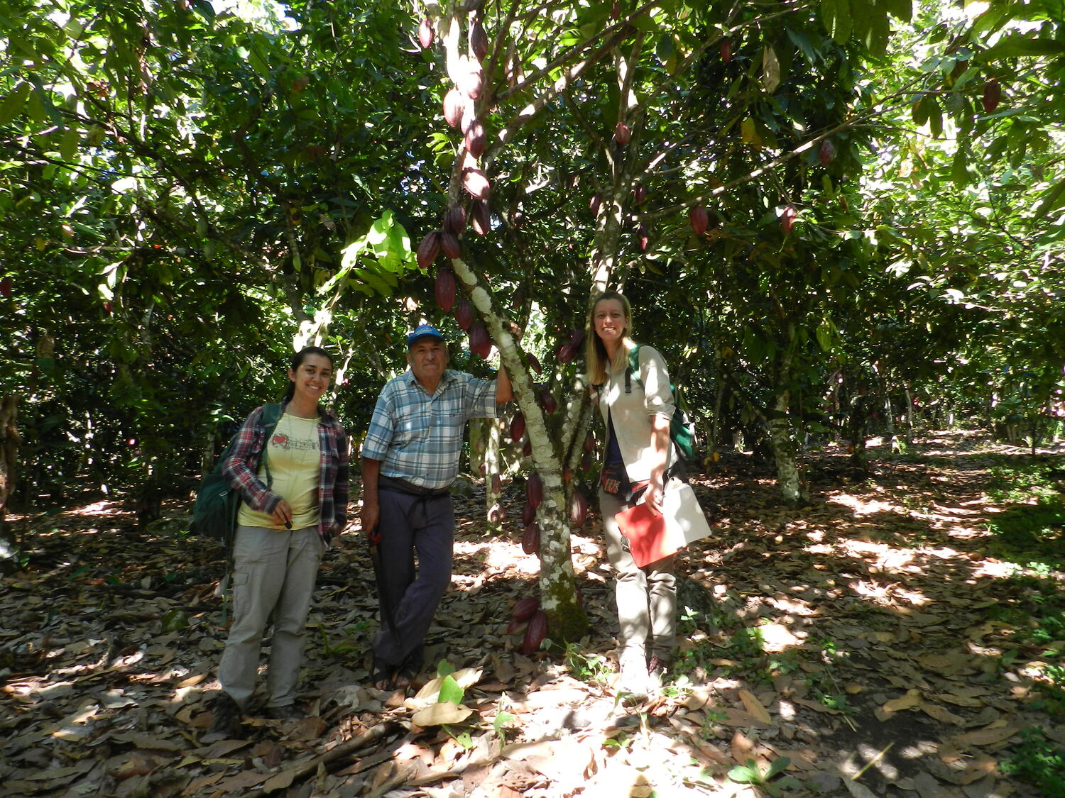 Carolina Ocampo-Ariza und Justine Vansynghel mit dem Besitzer des abgebildeten Kakao-Agroforsts, Nicanor Huaracha.