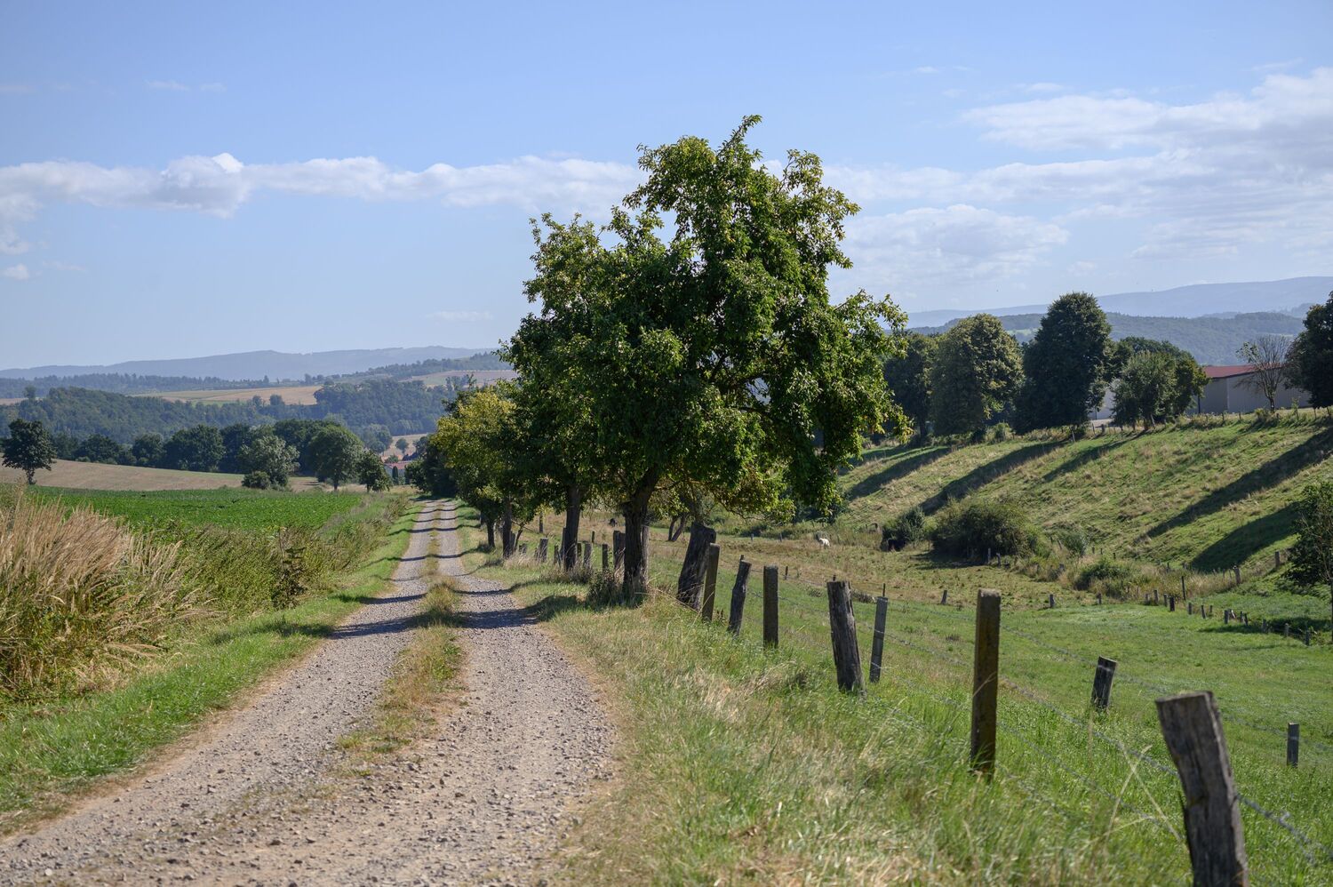 How can agricultural landscapes remain productive, preserve biodiversity and provide important ecosystem services, even in the face of climate change? This is the question being addressed by the new collaborative project ‘AgRe-Lab’, led by the University of Göttingen.