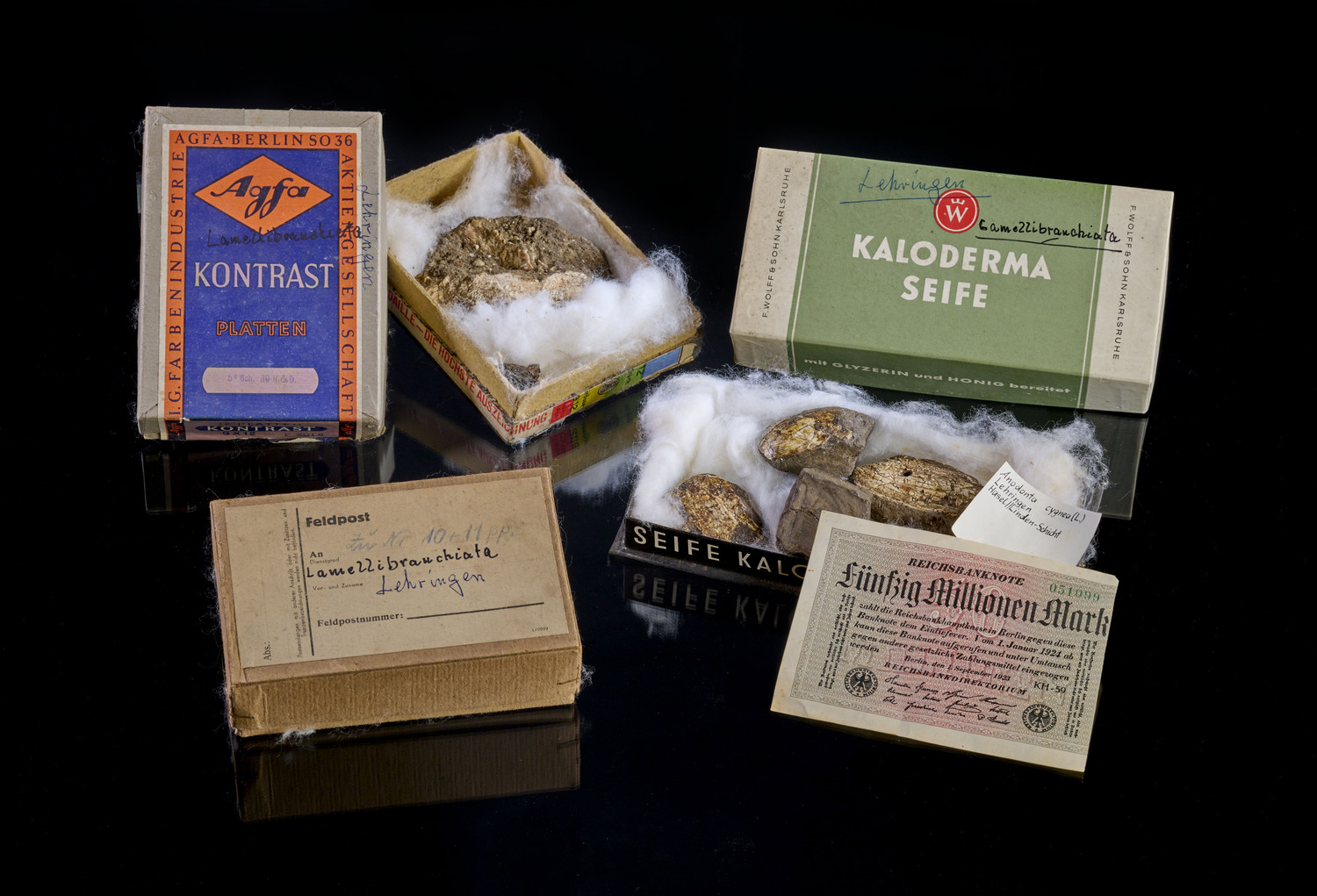 Während der Grabung mangelte es an Ausrüstung und Verpackungsmaterial. Die Pappschachteln, in denen die Funde verwahrt wurden, zeigen die Marken vergangener Tage. Die Banknote aus der Inflationszeit der 1920er diente als Fundzettel.