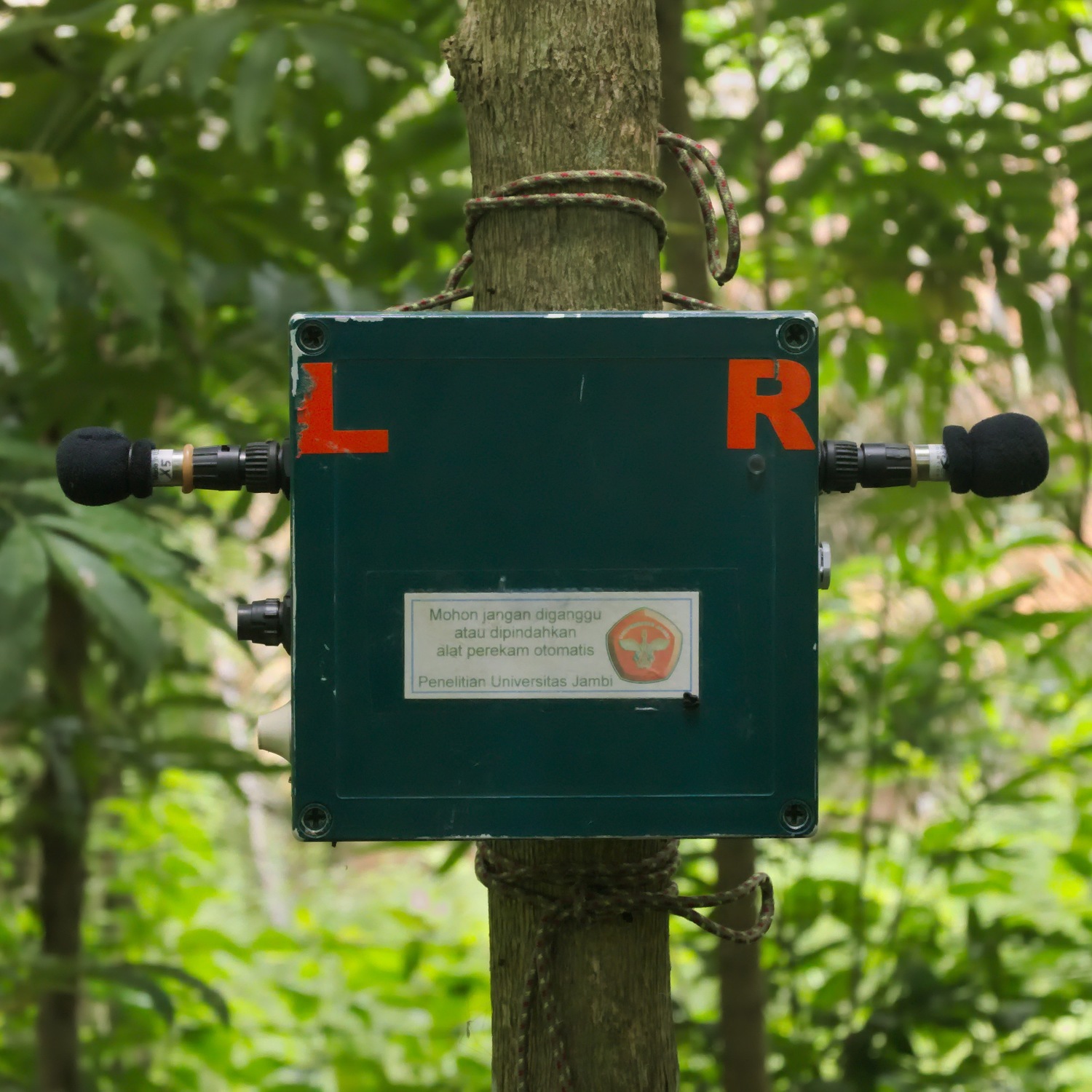 A programmable sound recorder is used in Jambi, Indonesia, to record biodiversity.