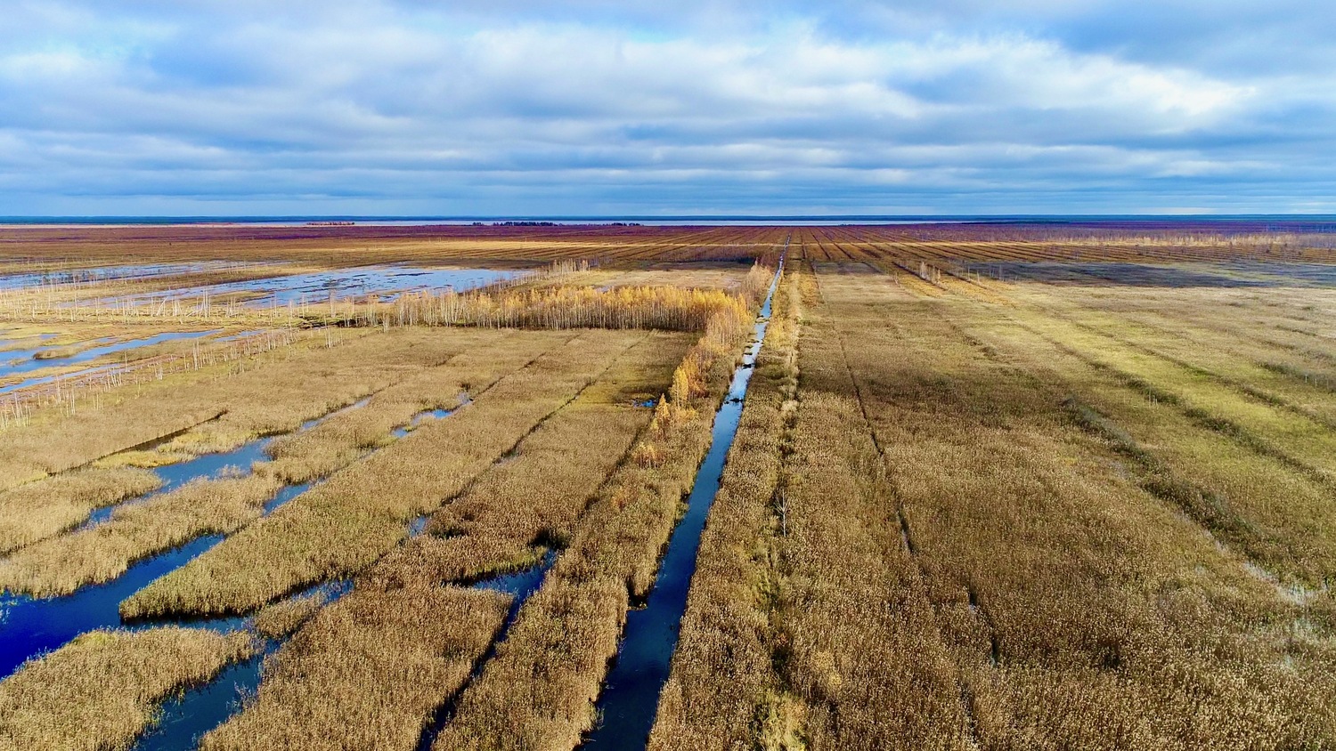 Das Orshinski Mokh-Feuchtgebiet in der Provinz Tver in Russland. Ein Viertel des Feuchtgebietes wurde zwischen 1950 und 1990 trockengelegt für den Abbau von Torf, der als Brennstoff zur Energieversorgung einer benachbarten Siedlung genutzt wurde.