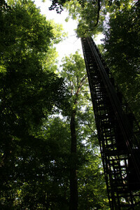 The Hainich station, operated by the Bioclimatology Group, plays a particular role since it takes measurements at a site which is both an unmanaged forest and also one of the oldest forests