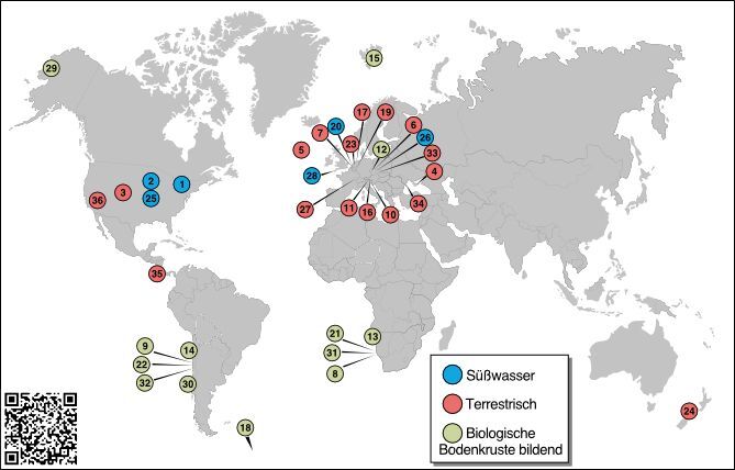 Verbreitungsgebiet der Klebsormidiophyceae: Neben süßwasser- und landlebenden Arten untersuchten die Forschenden auch Arten, die Bodenpartikel verbinden und dadurch eine biologische Bodenkruste bilden.