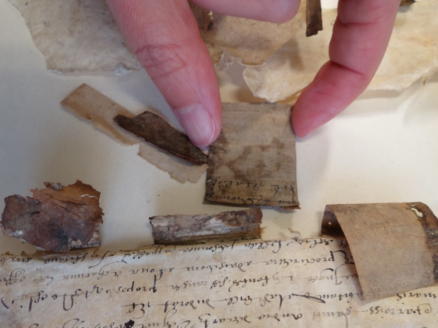 Fragmente einer Handschrift auf Pergament mit Rückständen von Klebstoff und Lederfasern.