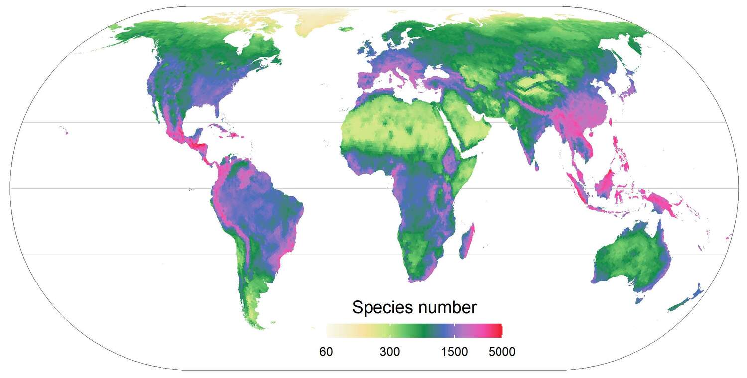 Globale Verteilung der phylogenetischen Vielfalt der Pflanzen, wie sie anhand der Verteilung von 300.000 Pflanzenarten in 830 regionalen Floren weltweit vorhergesagt wurde.
