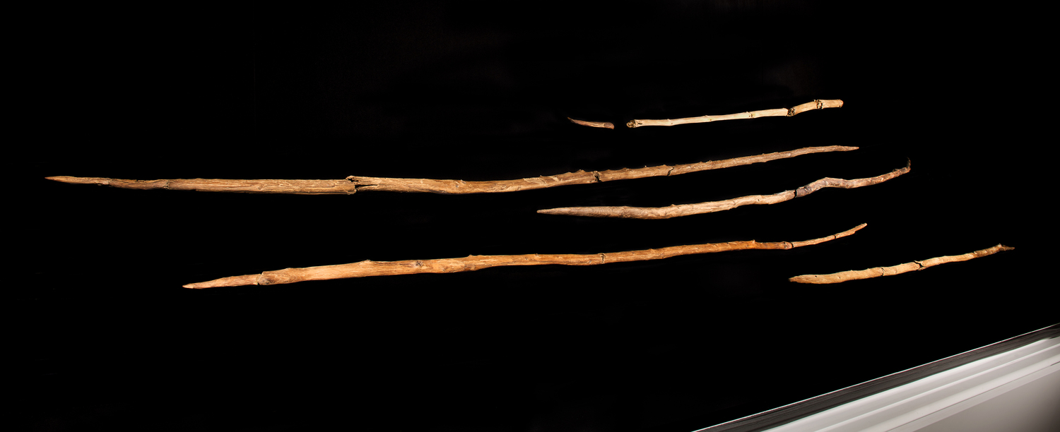 Weltsensation: Einige der etwa 300.000 Jahre alten Holzwaffen werden im Forschungsmuseum Schöningen ausgestellt, wo sie aus der Nähe betrachtet werden können.