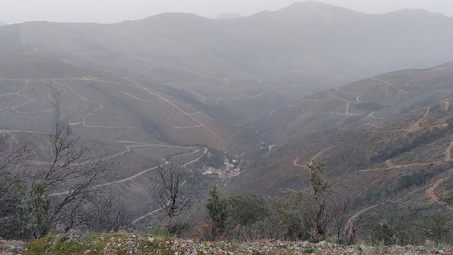 Ehemalige Kiefer-Plantagen nach einem Mega-Feuer im nördlichen Extremadura (Spanien)