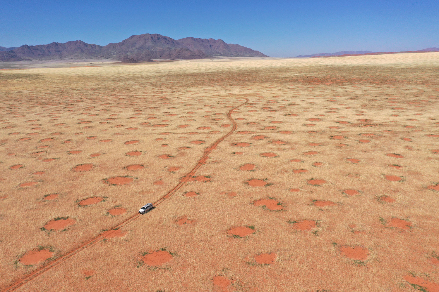 Drohnenaufnahme eines Autos im NamibRand-Naturreservat, eine der Feenkreisregionen in Namibia, wo die Forscher Gräser, Bodenfeuchte und Infiltration untersuchten (April 2022).