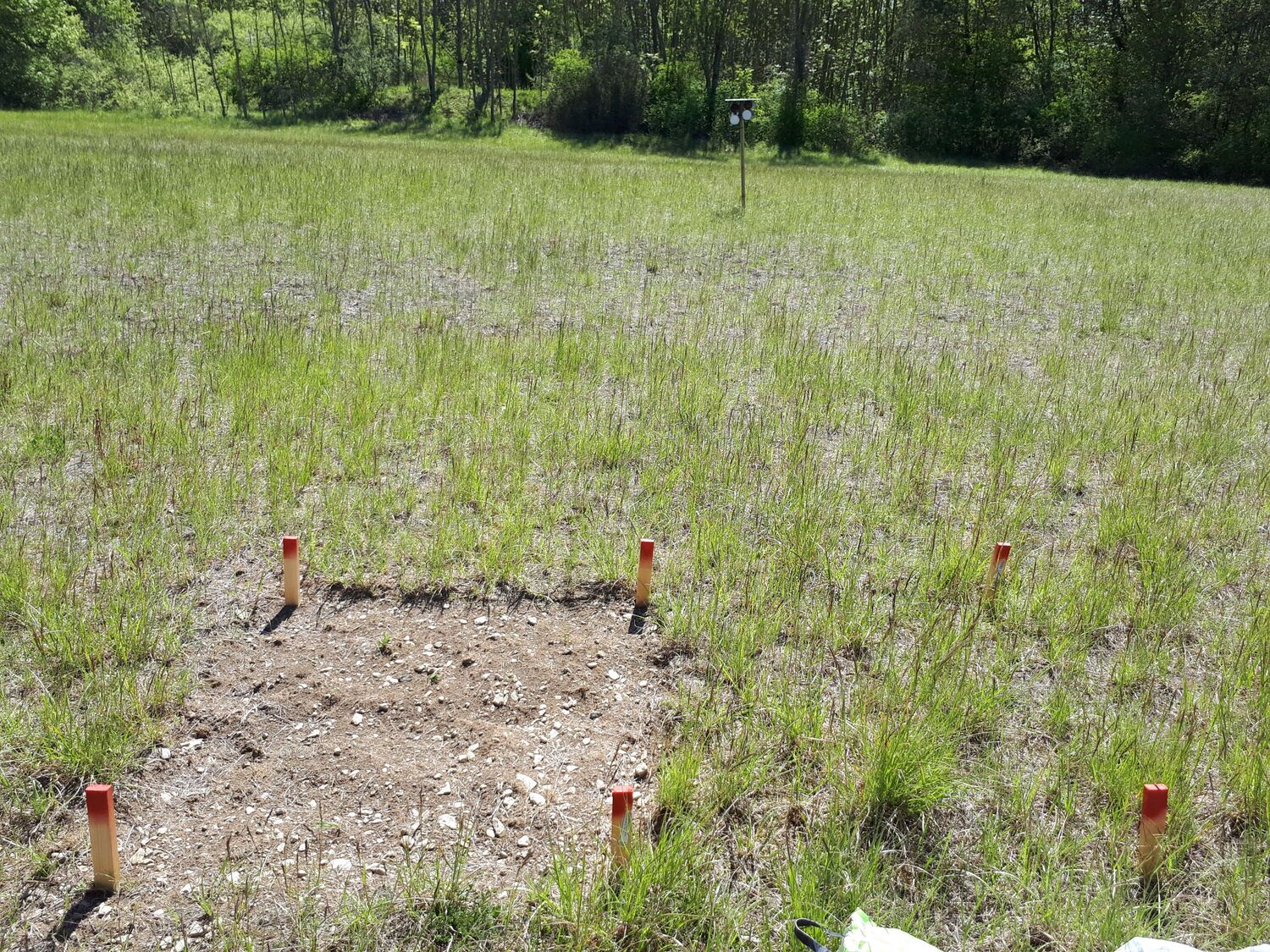 Versuchsaufbau: vegetationsfreie Parzelle (1m², links) mit anliegender Kontrollfläche (rechts)