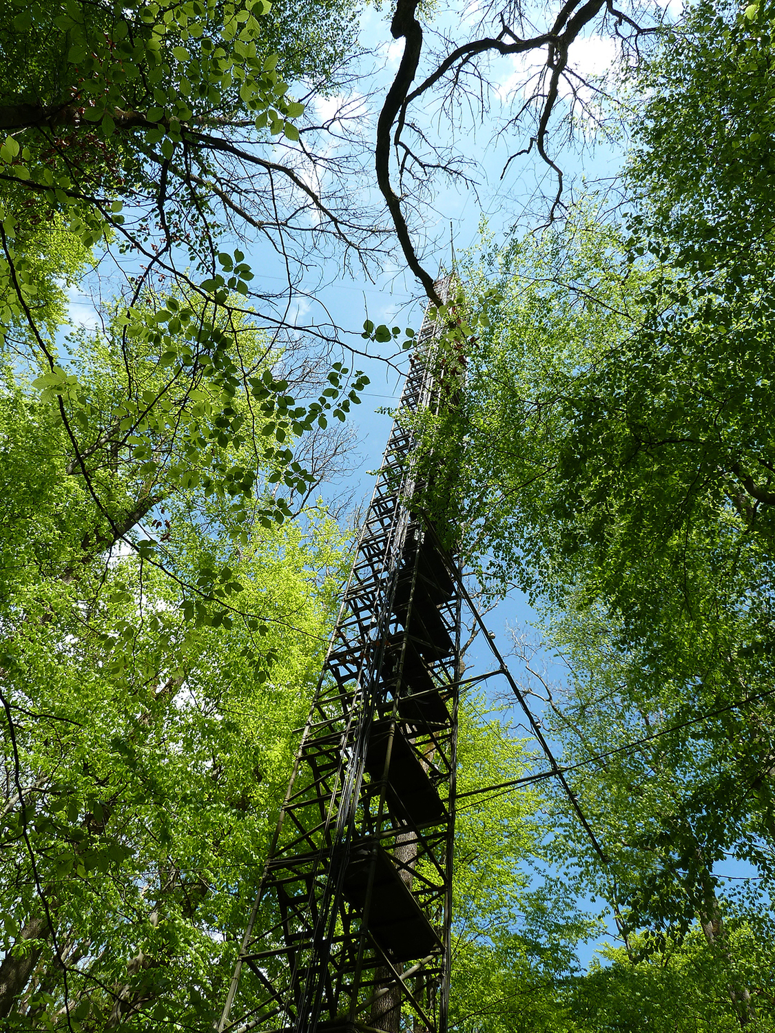 Climate tower at the Hainich Research Station