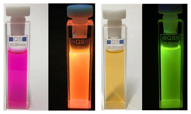 Activation of a C-H bond at the end of the process of synthesis enables the fluorescent labelling of peptides and lipopeptides giving it properties that glow different colours