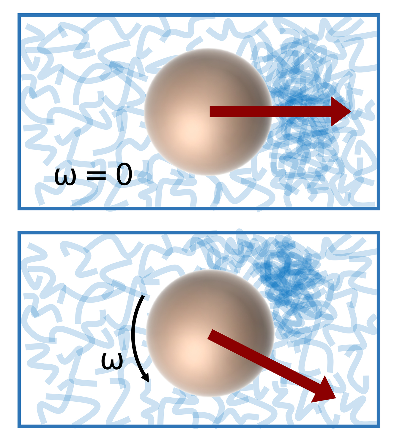 Die Ursache des Magnus-Effekts ist eine lokale Kompression der Struktur der viskoelastischen Flüssigkeit (blau), die sich bei Drehung des Teilchens zur Seite verlagert und eine Kraft senkrecht zur Bewegungsrichtung erzeugt.