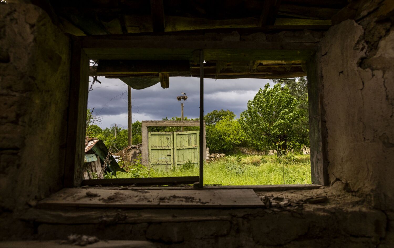 Blick aus einem verlassenen Haus in die verwilderte Landschaft