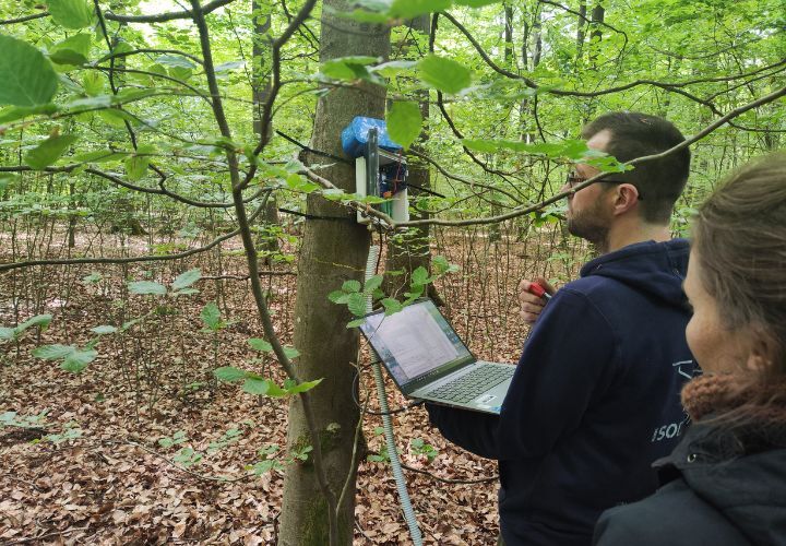 Im Projekt FoResLab laufen in den Datenloggern Daten zu Saftfluss (Wasserverbrauch der Pflanze), Stammwassergehalt (