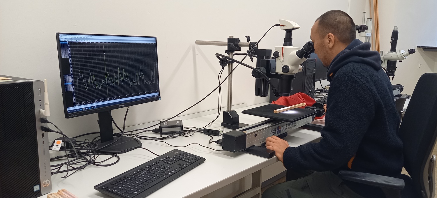 PhD student Banzragch Bat-Enerel measuring the annual rings using a microscope.