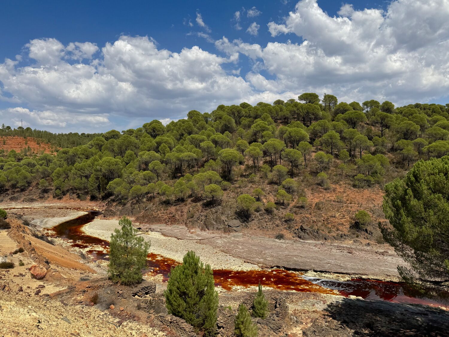 Der Río Tinto im Südwesten Spaniens: Die rote Farbe entsteht durch gelöstes Eisen und Minerale, die auch auf der Marsoberfläche weit verbreitet sind.