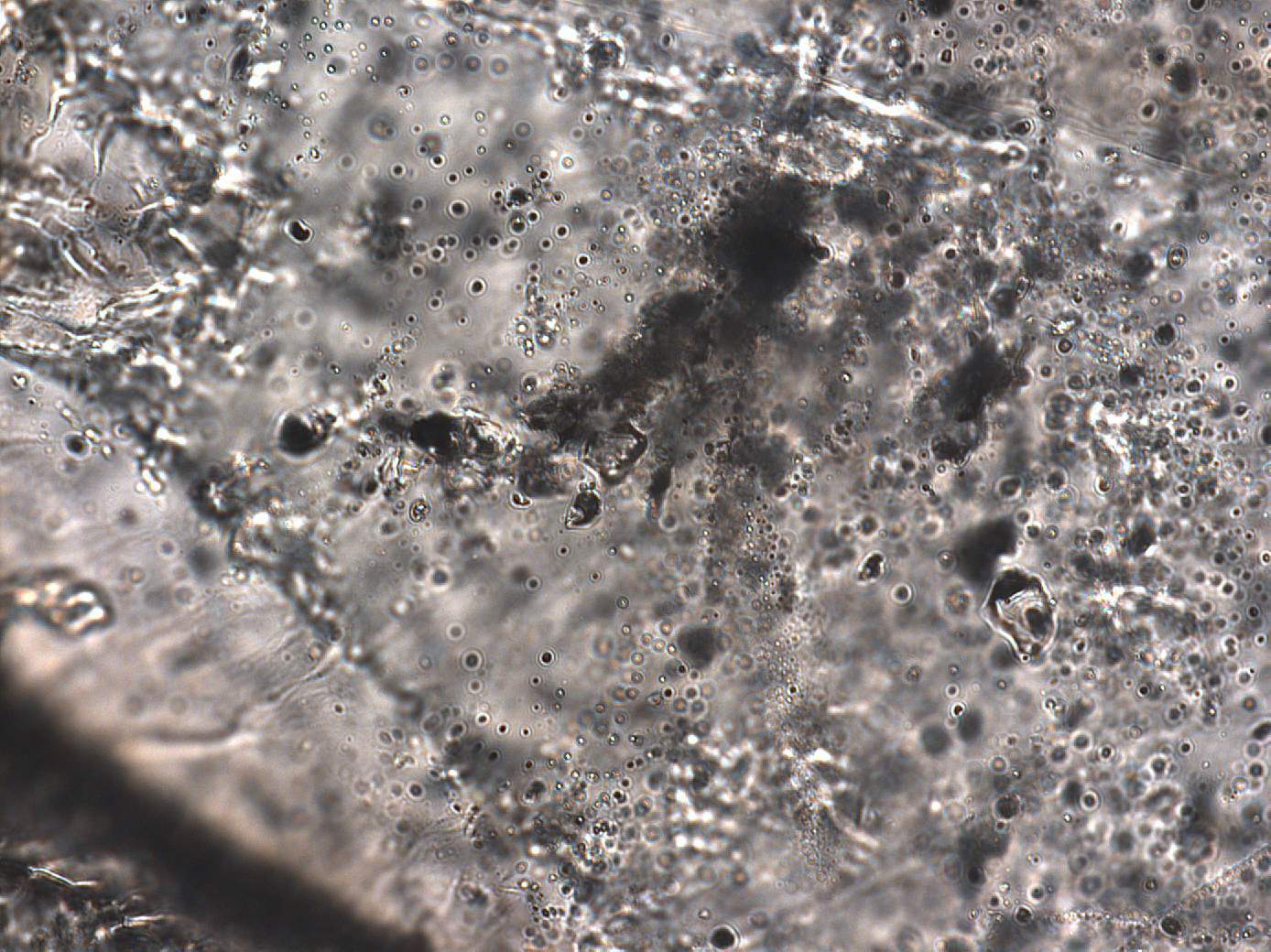 Baritkristall mit sichtbaren Flüssigkeitseinschlüssen