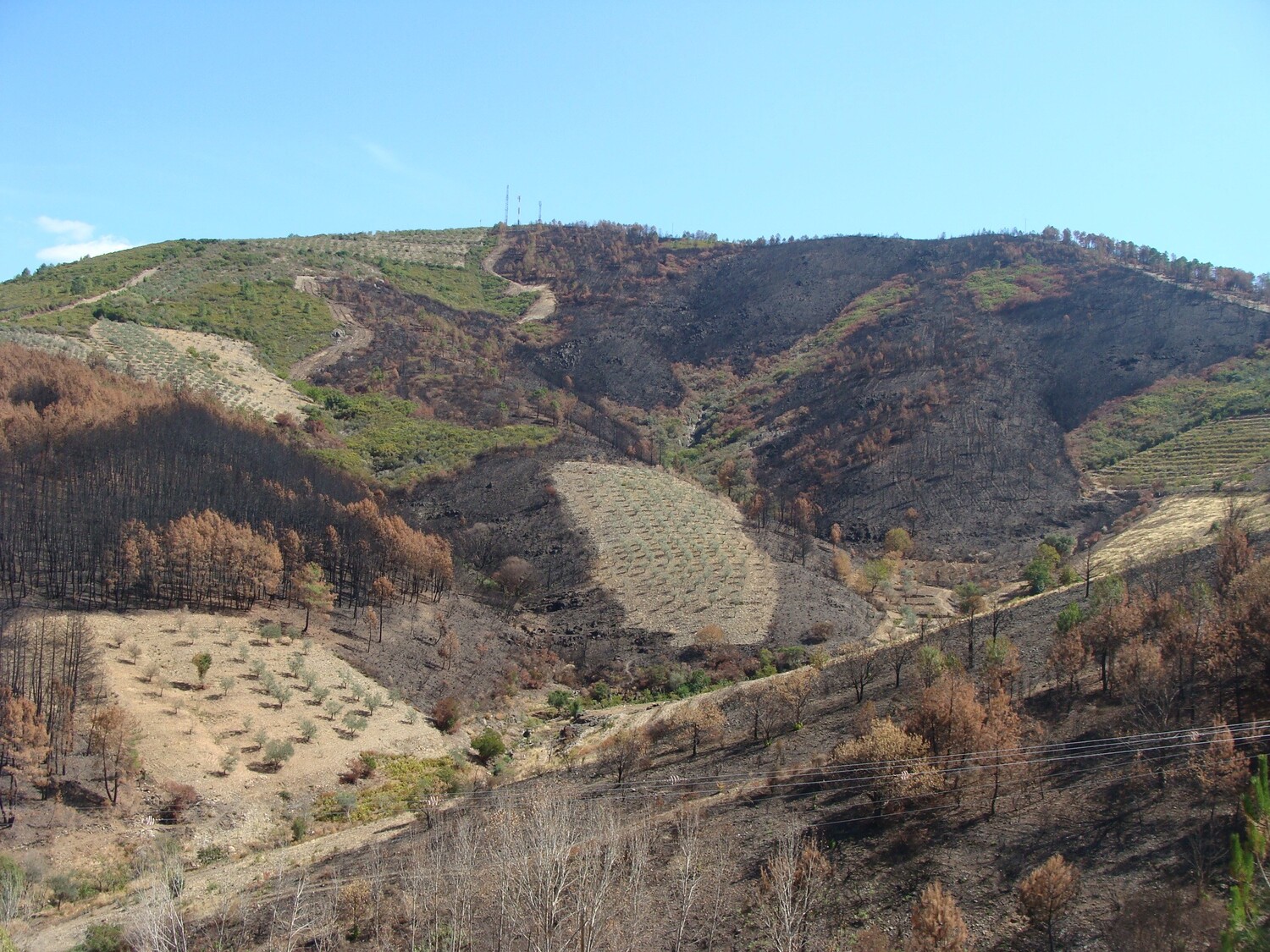 Die Initiative „Mosaico Extremadura“ im nördlichen Extremadura (Spanien) setzt auf die Wiederherstellung einer vielfältigen, durch Land- und Forstwirtschaft geprägten Mosaik-Landschaft, um das Waldbrandrisiko zu verringern.
