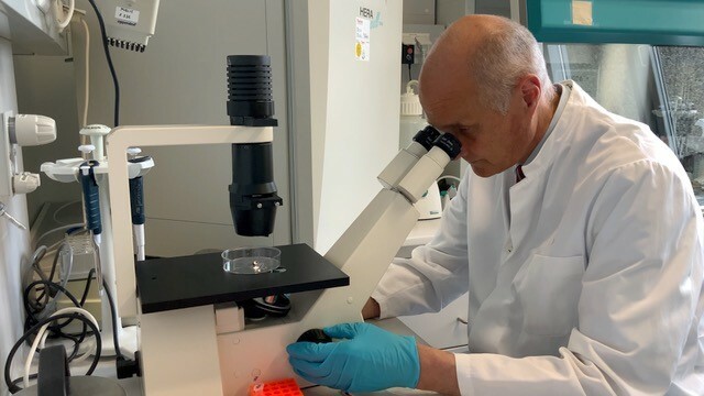 Professor Bertram Brenig in the laboratory