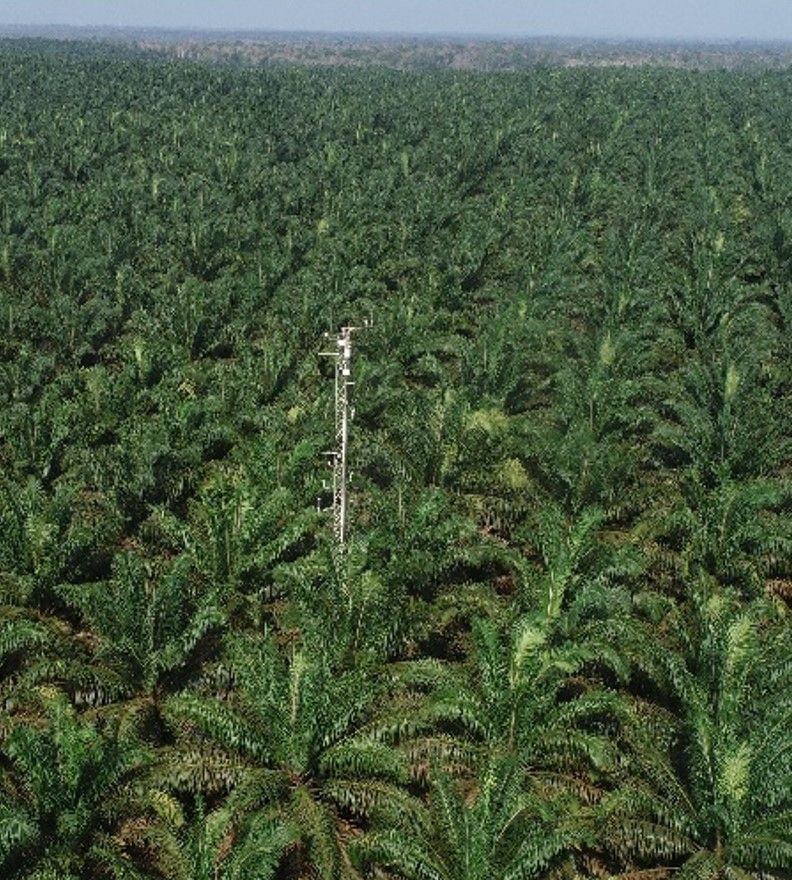 Drohnenansicht der Ölpalmenplantage in Jambi, Indonesien, mit Turm zur Messung der N2O-Emissionen