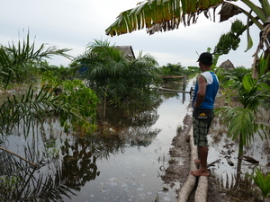 A small-holder farmer looks at his flooded field