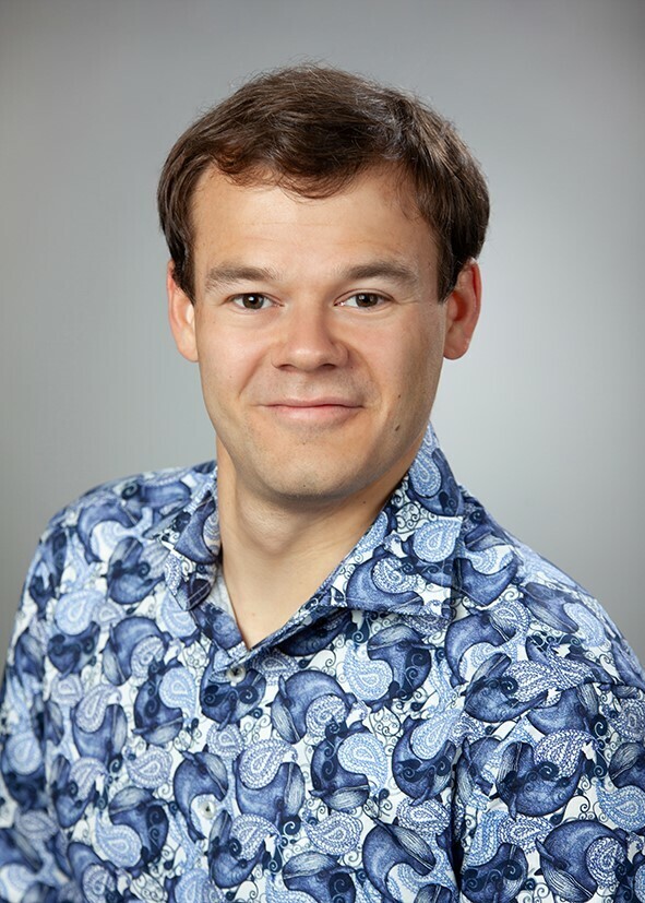 Professor Jan de Vries