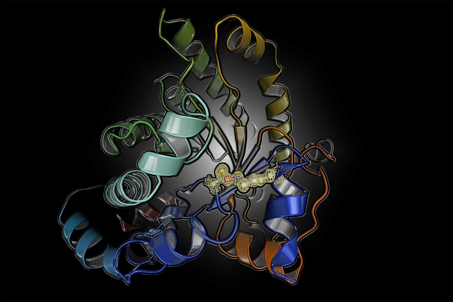 Protein structure with the newly identified switch between a cysteine and lysine residue showing its structure and electron density. This discovery has wide-reaching implications for understanding and treating diseases.