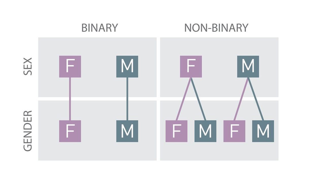 Modell zur binären (binary) und nicht-binären (non-binary) Geschlechterordnung (Sex: biologisches Geschlecht, Gender: soziales Geschlecht, F: female/feminine/weiblich, M: male/masculine/männlich)