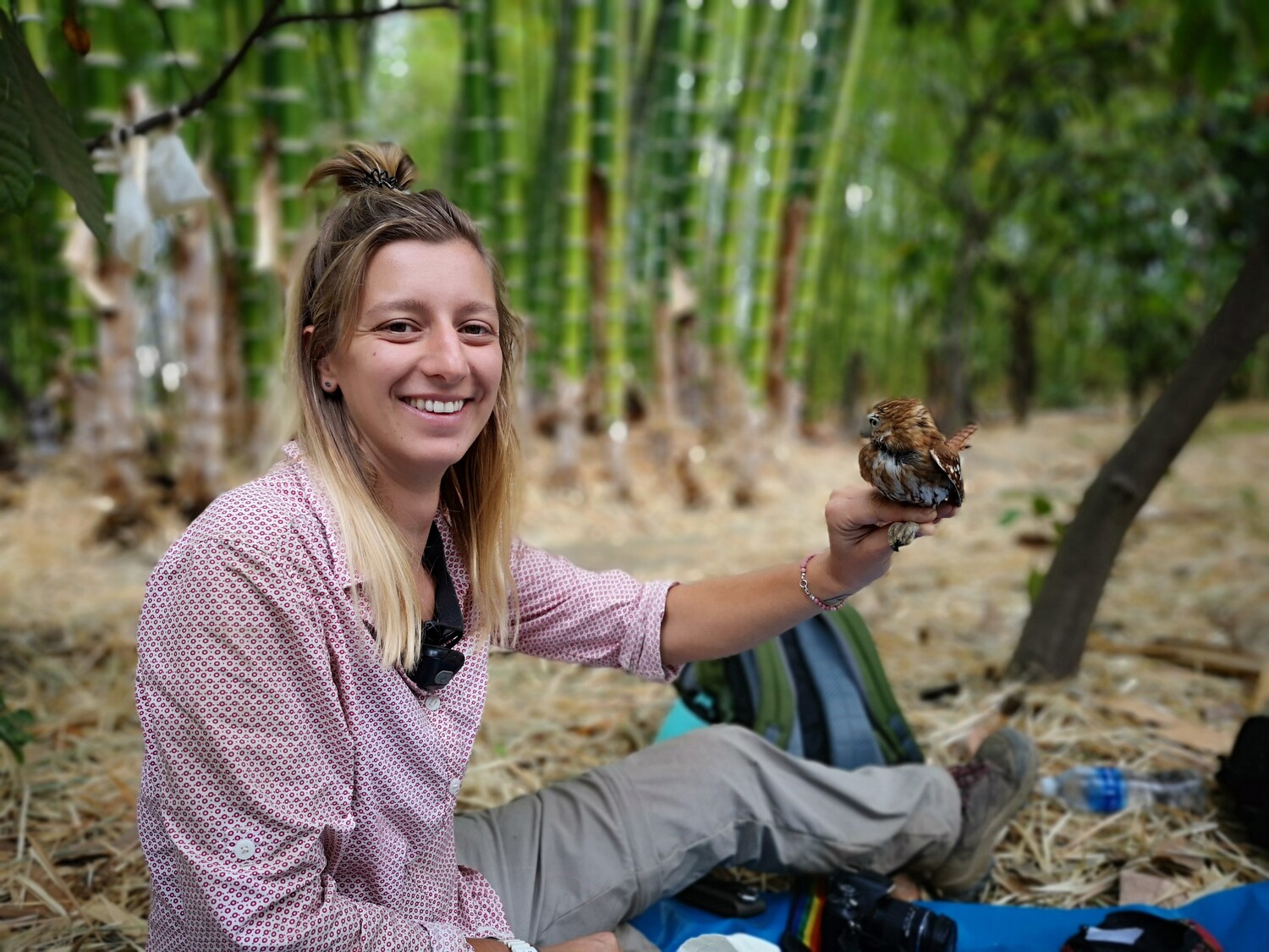 Mitautorin Justine Vansynghel bei der Beobachtung von Vögeln in einer Kakaofarm in Peru und mit einem peruanischen Sperlingskauz (Glaucidium peruanum).