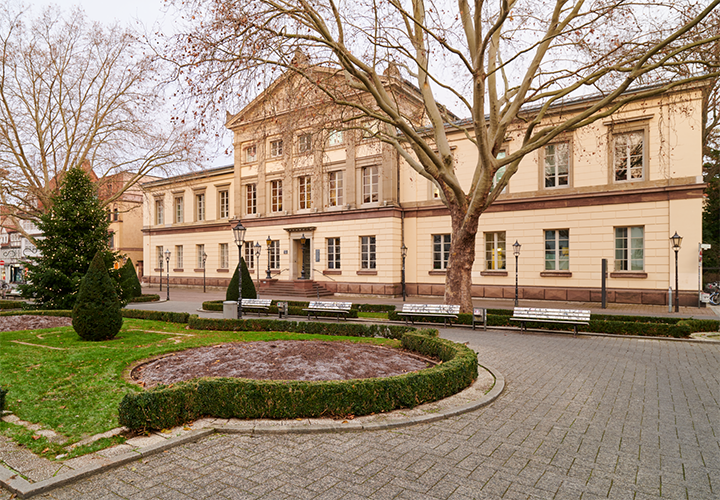 Insgesamt haben 280 Studierende im vergangenen Jahr an der Universität Göttingen ihr Studium für das gymnasiale Lehramt erfolgreich abgeschlossen.