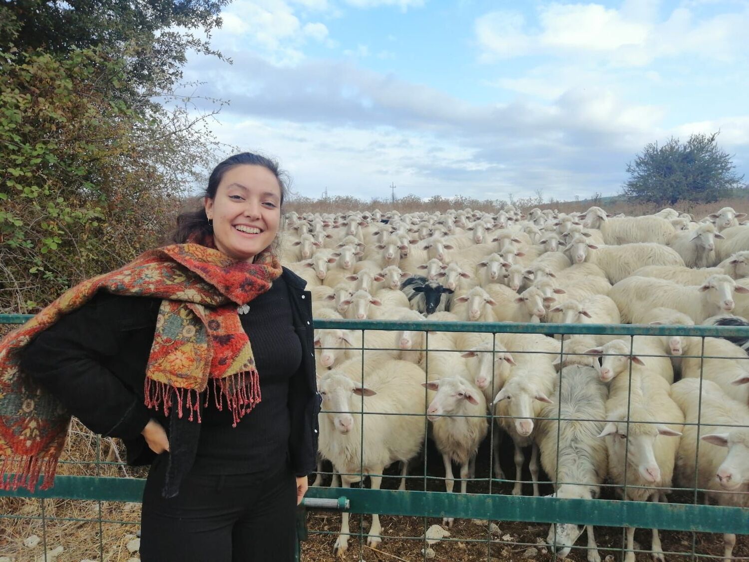 Maria Chiara Camporese, Doktorandin und Erstautorin der Studie, bei Forschungsarbeiten zu einem anderen Projekt auf Sardinien vor einer Schafherde, die nach traditionellen Methoden zur Milch- und Fleischproduktion genutzt wird.