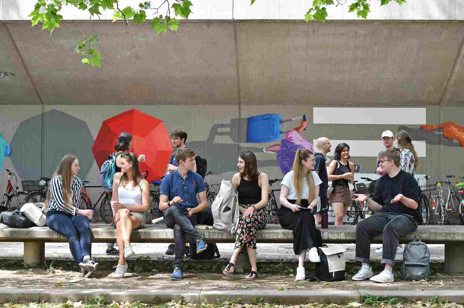 Zu den Fächern der Sozialwissenschaftlichen Fakultät gehören Ethnologie, Geschlechterforschung, Moderne Indienstudien, Politikwissenschaft, Sozialwissenschaften inklusive Erziehungswissenschaften, Soziologie und Sportwissenschaften