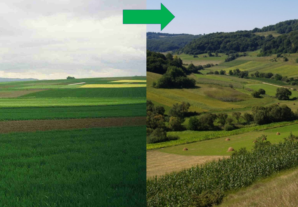The restoration of agricultural landscapes for ecosystem services such as pollination and biological pest control needs targeted management to increase structural complexity and heterogeneity. Small fields, diverse crops and at least one-fifth semi-natural areas would be in line with the UN Decade (2021-2030) on ecosystem restoration.