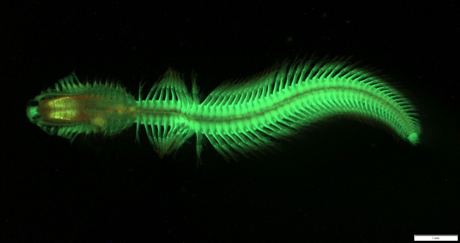 Where science meets art