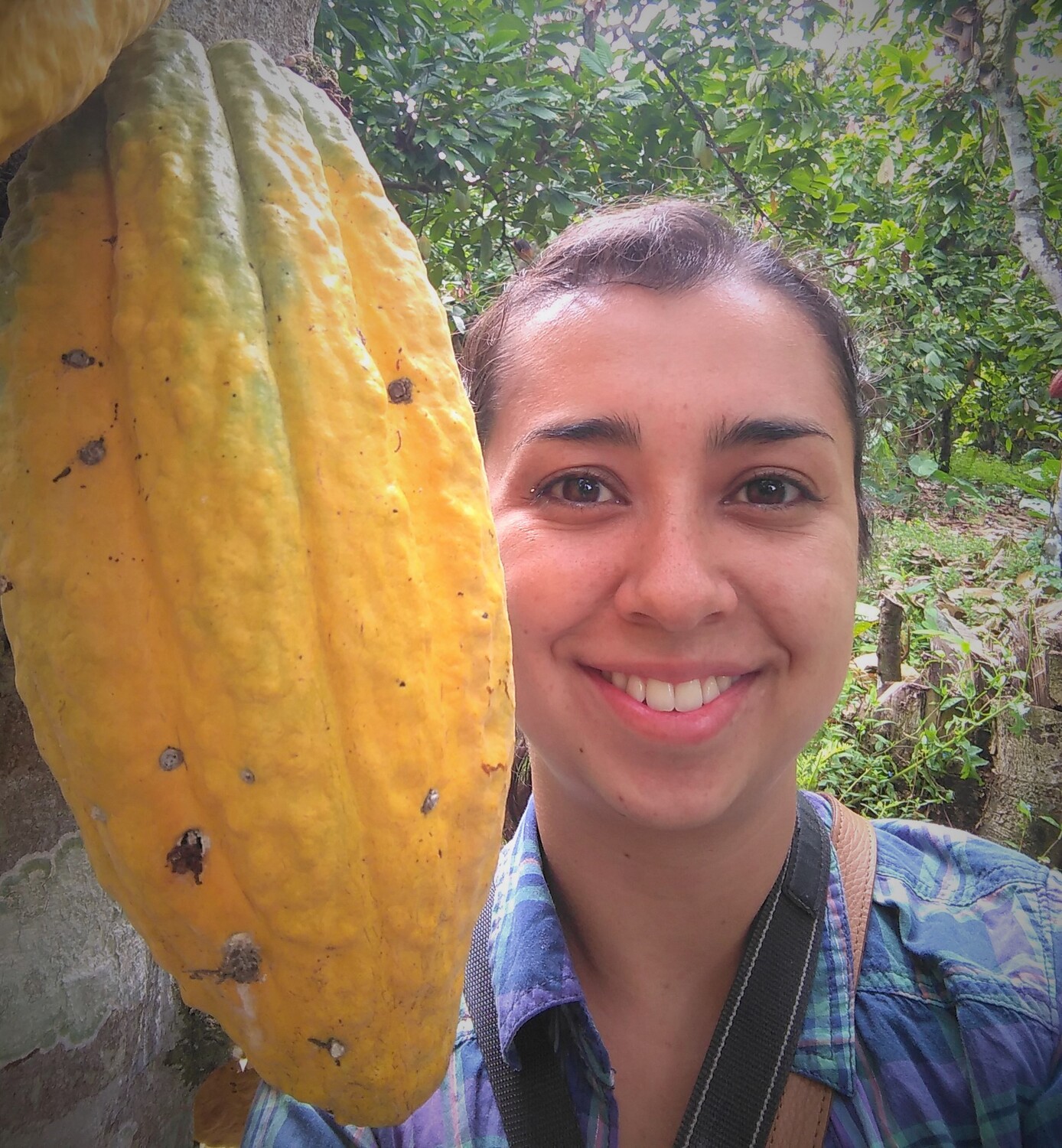 Erstautorin Carolina Ocampo-Ariza von der Universität Göttingen neben einer reifen Kakaoschote, die von der einheimischen peruanischen Sorte 