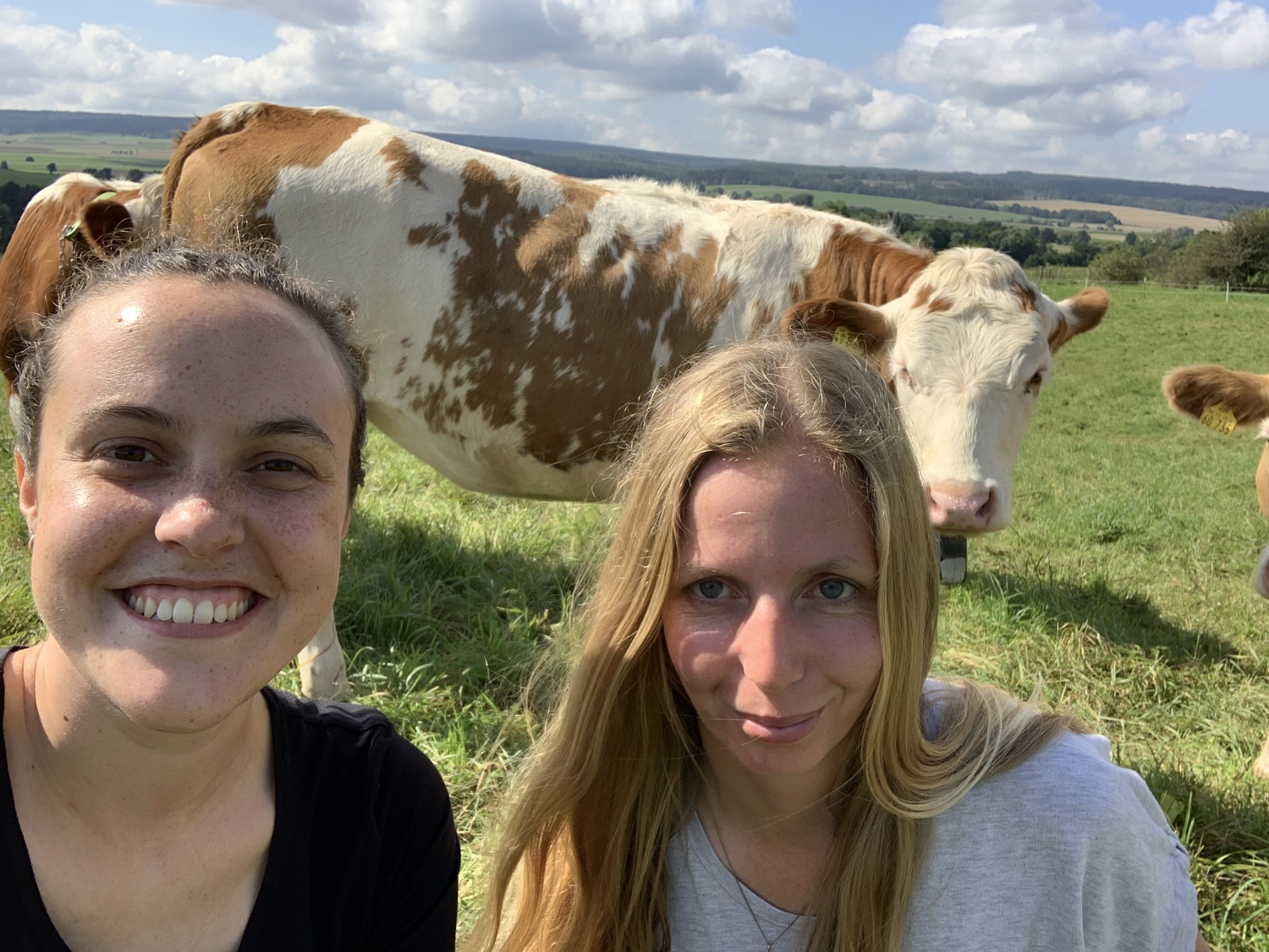 Dr Natascha Grinnell and Dr Dina Hamidi in front of a cow wearing a 